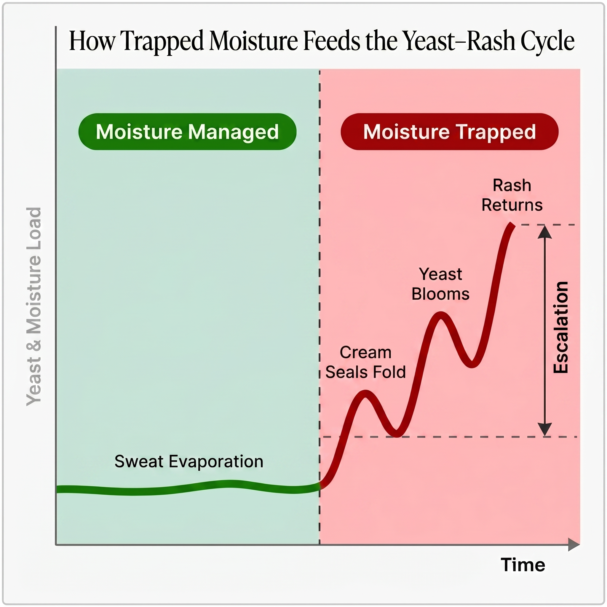 How skin barrier damage gets worse with every rash cycle